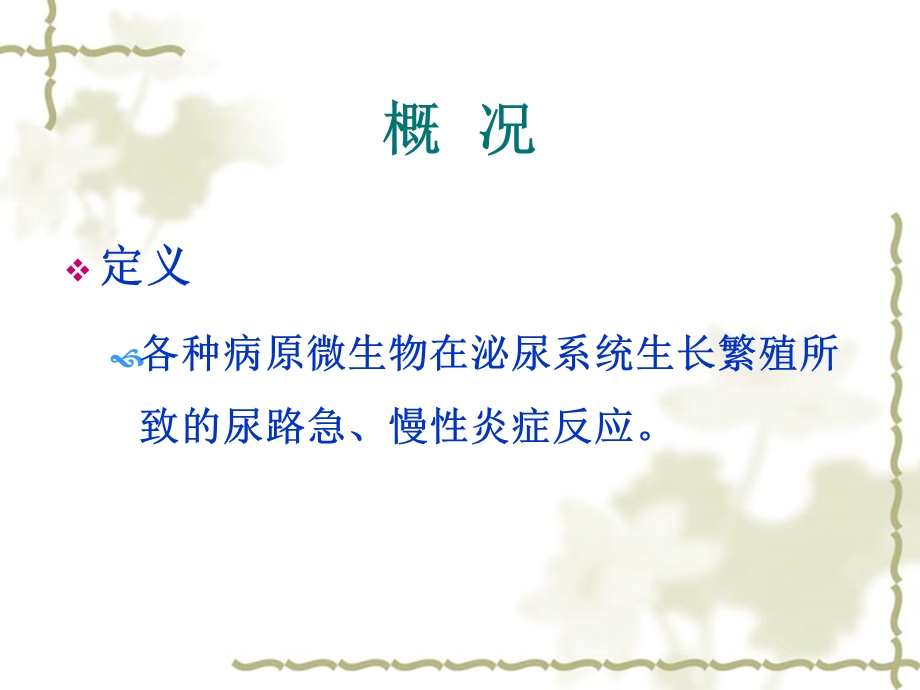 教学课件第二节慢性肾盂肾炎.ppt_第2页