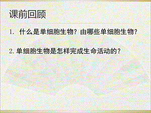 教学课件第一节 藻类、苔藓和蕨类植物PPT.ppt