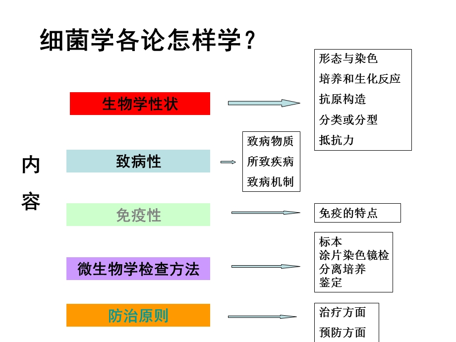 教学课件第一节化脓性球菌.ppt_第2页