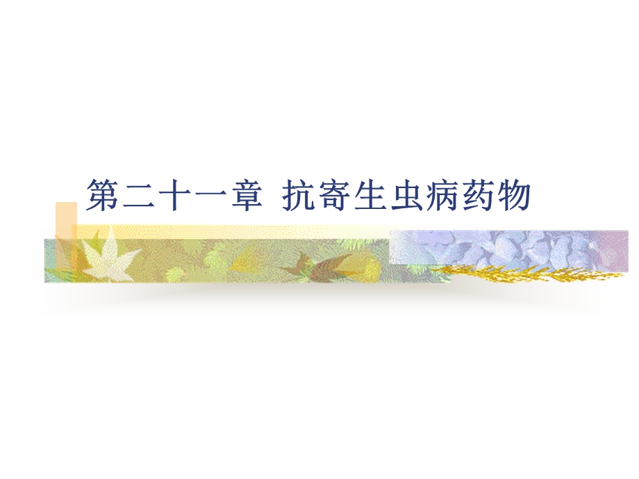 教学课件：第21章-抗寄生虫药完.ppt_第1页