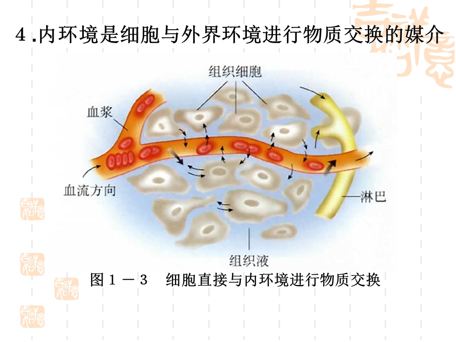 文科细胞生活的环境.ppt_第2页