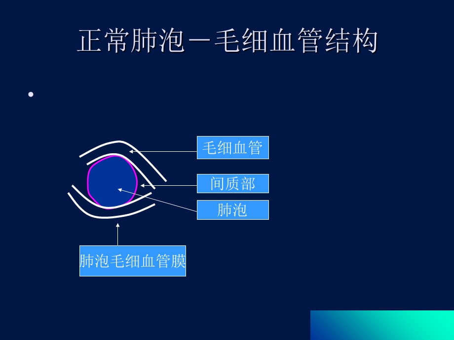 无创通气在慢性心功能不全中的应用.ppt_第3页