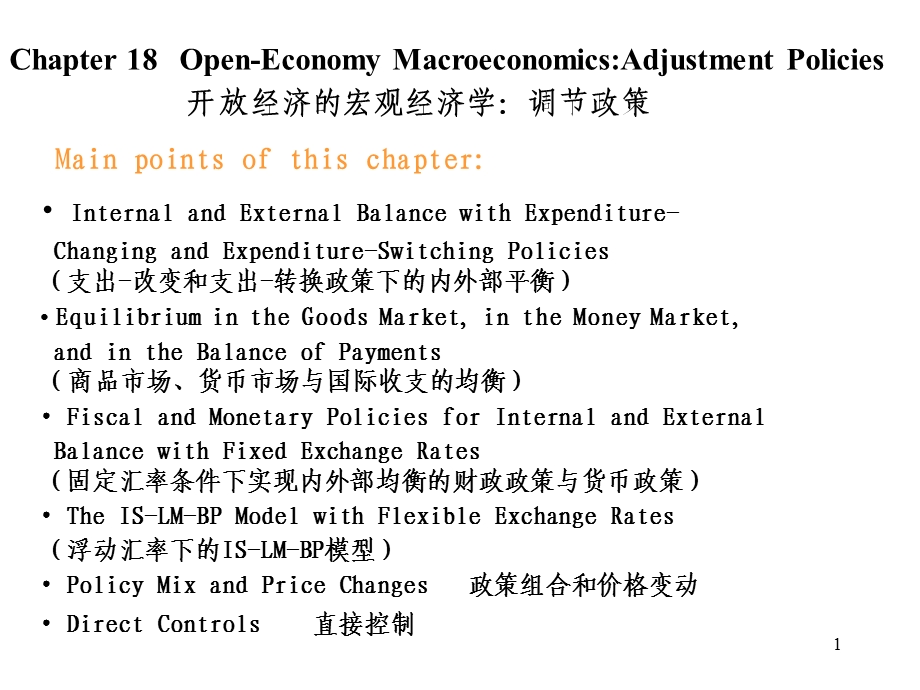 开放经济宏观经济学：调整政策.ppt_第1页