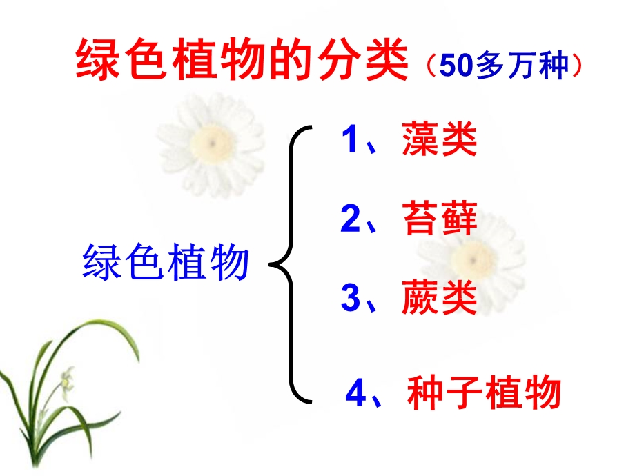 教学课件第一节藻类、苔藓与蕨类植物PPT.ppt_第2页