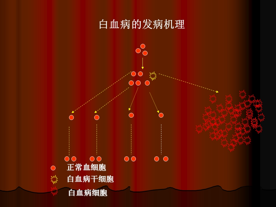 急性白血病化疗.ppt_第3页