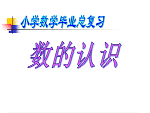 数学数的认识总复习.ppt