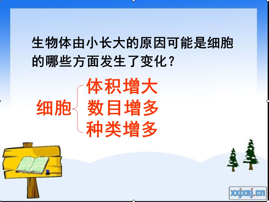 教学课件第二节动物体的结构层次.ppt_第2页