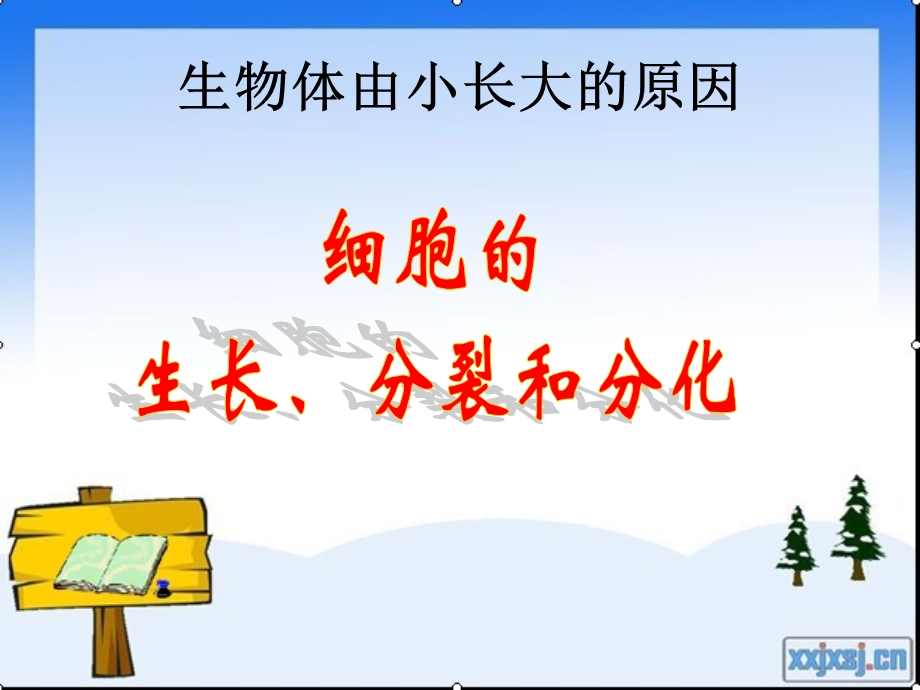 教学课件第二节动物体的结构层次.ppt_第3页