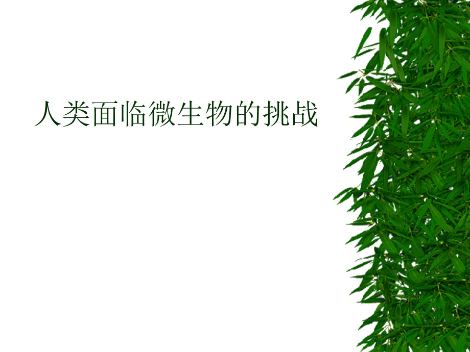 树立规范化临床细菌室的意识.ppt_第3页