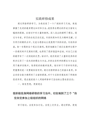 实践研修成果.docx