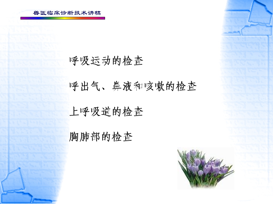 教学课件：第四章-呼吸系统的检查.ppt_第3页