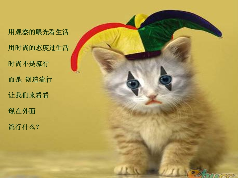 时尚名堂第一期播放.ppt_第2页