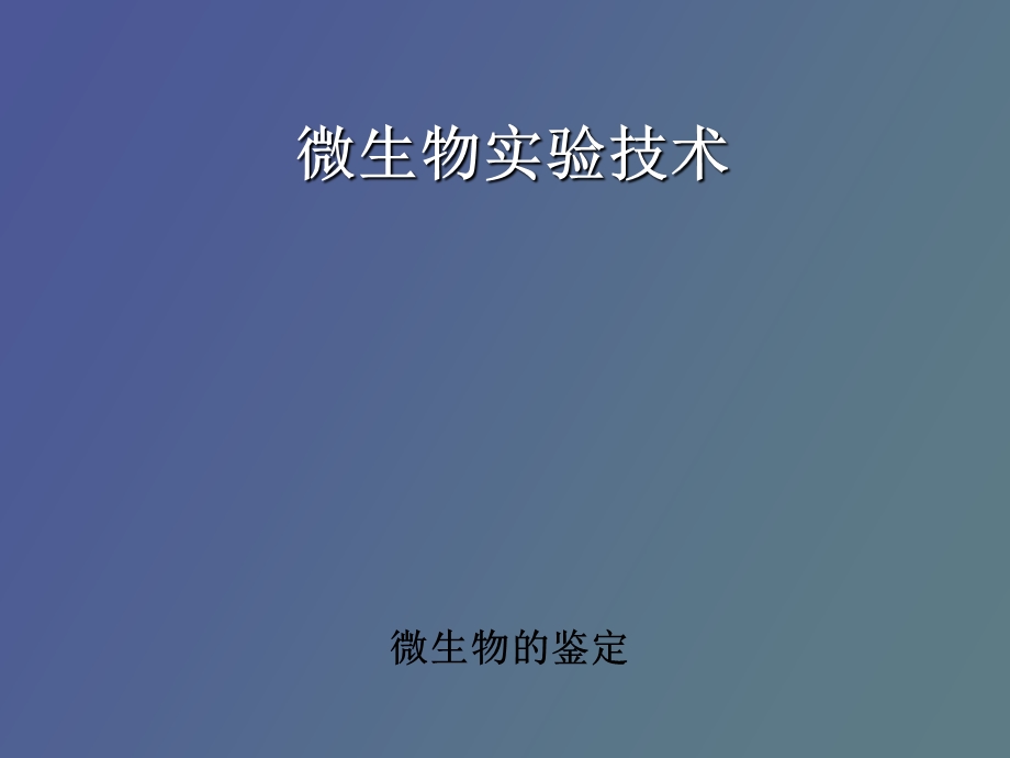 微生物的鉴定.ppt_第1页