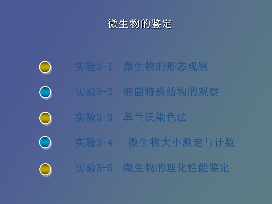 微生物的鉴定.ppt_第2页