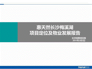 惠天然长沙梅溪湖项目定位及物业发展报告.ppt