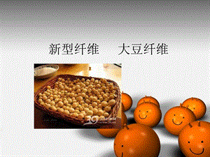 新型纤维大豆纤维.ppt