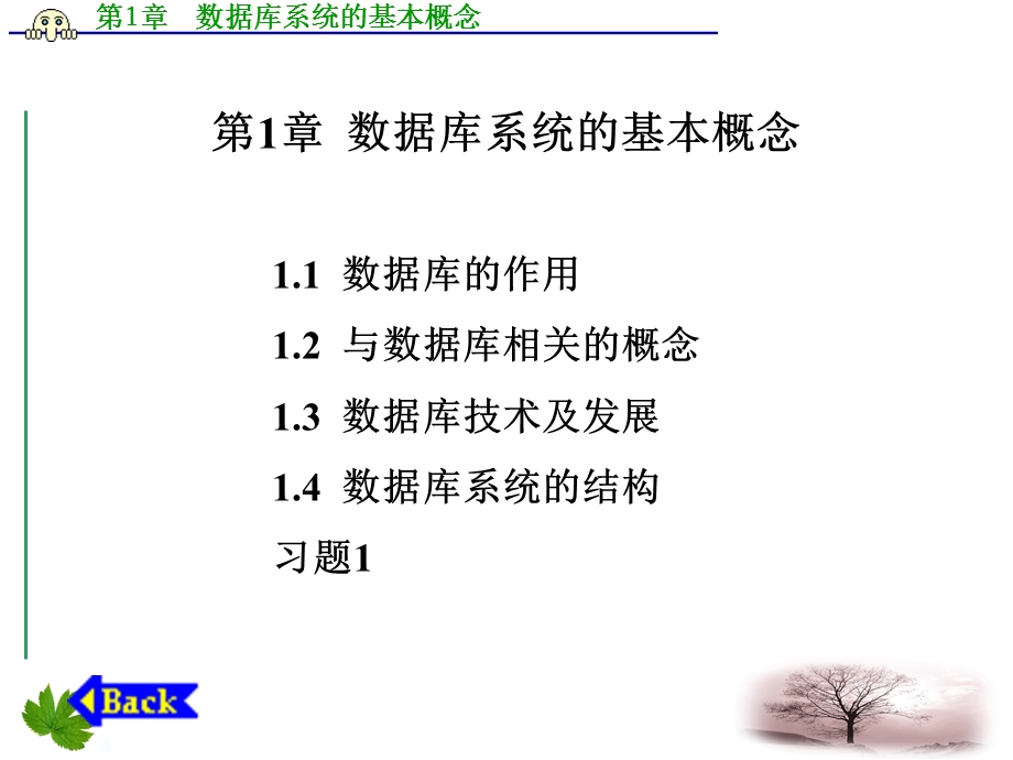 数据库技术及应用课件第1章数据库系统的基本概念.ppt_第1页