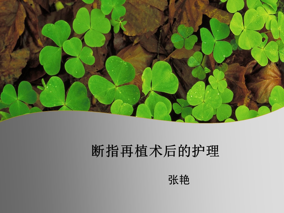 断指再植术后护理 (2).ppt_第1页