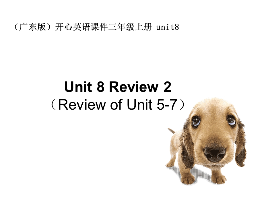 开心学英语三年级上册Unit8Review2课件.ppt_第1页