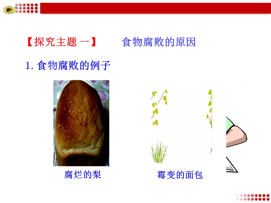 教学课件第二节食品保存.ppt_第3页