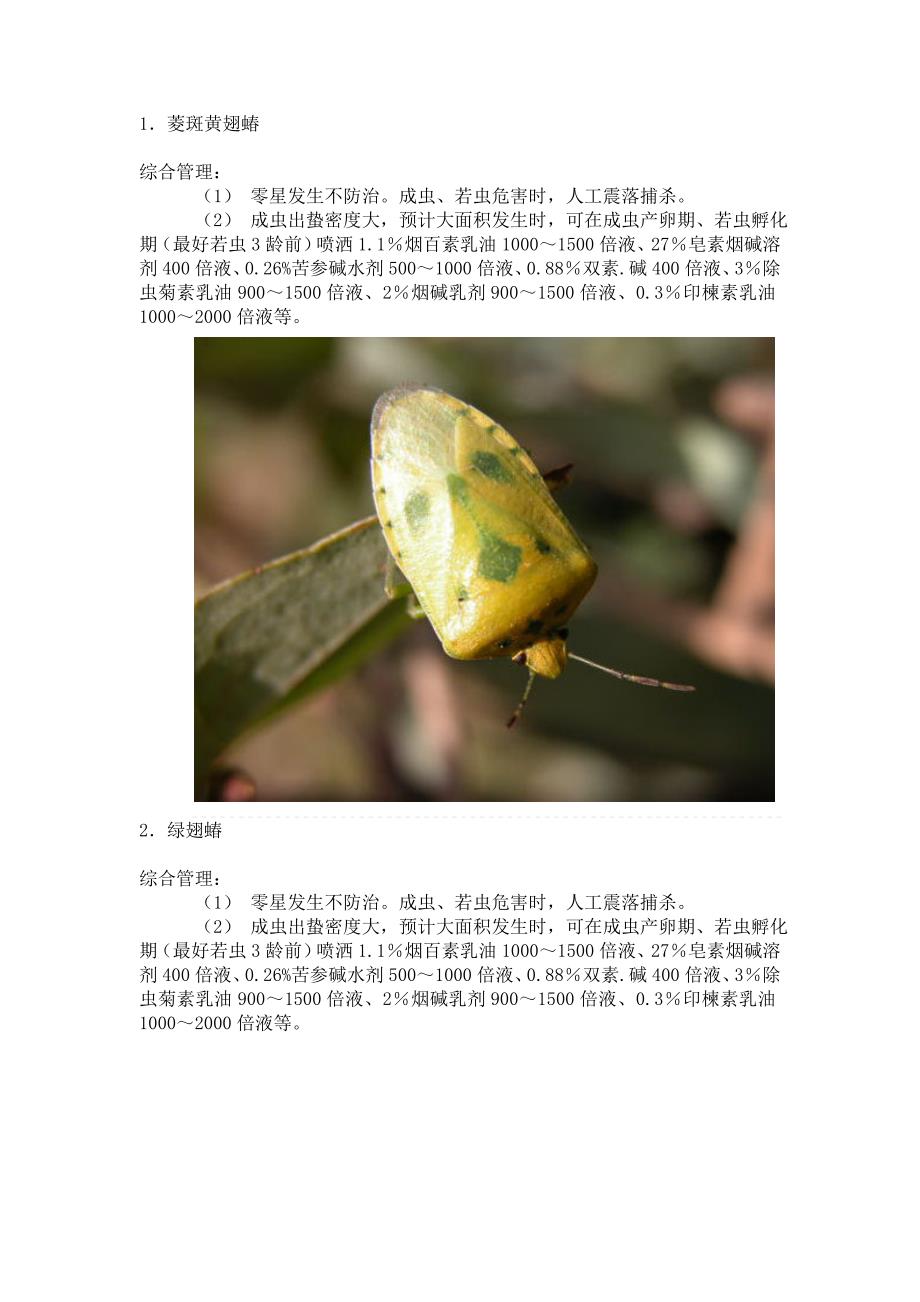 园林绿化常见害虫(图文并茂地介绍了园林绿化常见害虫及其针对防治办法).doc_第1页