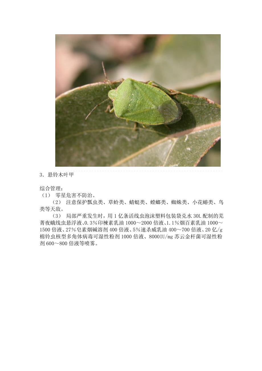 园林绿化常见害虫(图文并茂地介绍了园林绿化常见害虫及其针对防治办法).doc_第2页