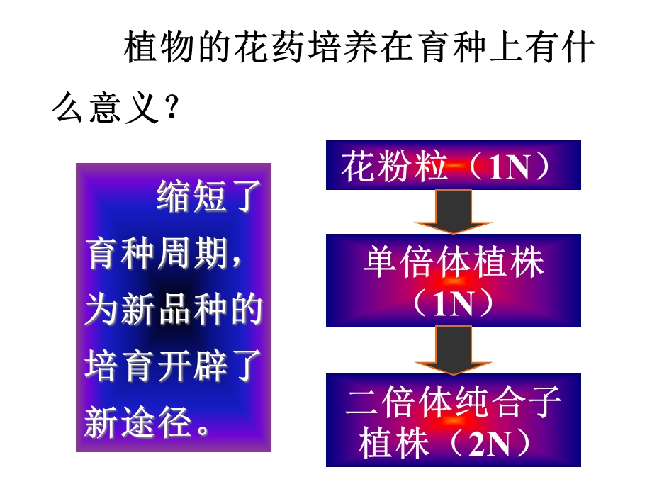 月季的花药培养(经典).ppt_第2页