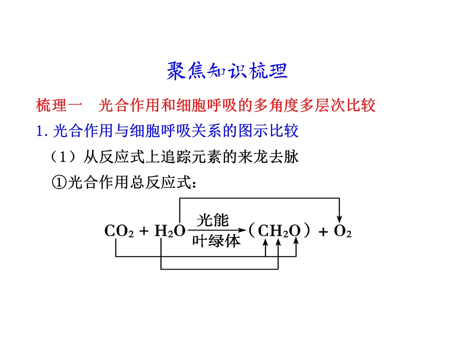 时光合作用和细胞呼吸的知识梳理和题型探究.ppt_第3页