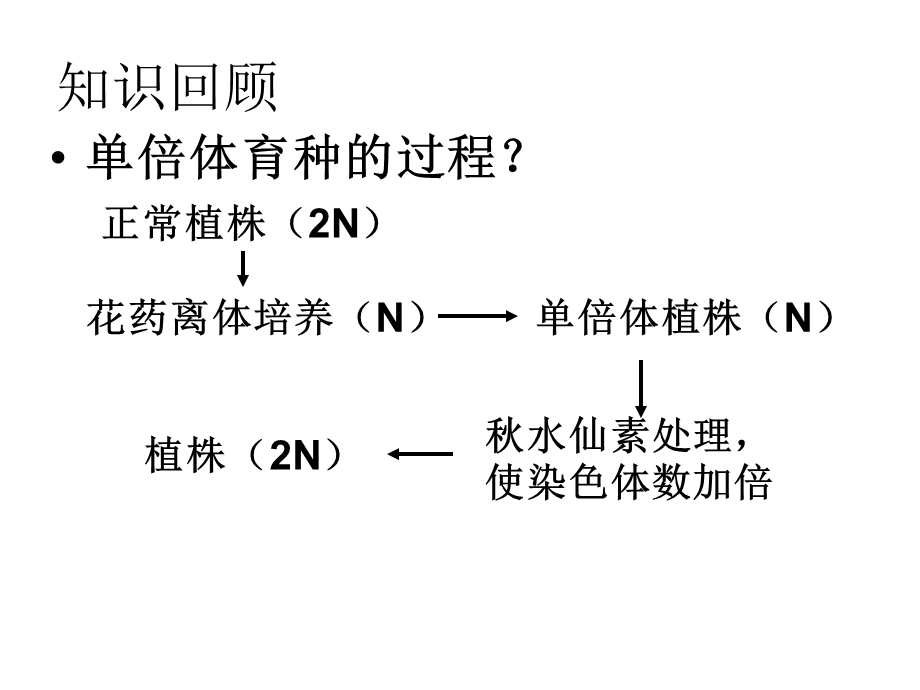 月季花药培养(公开课).ppt_第3页