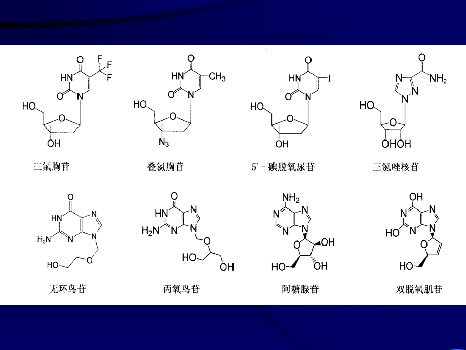 教学课件：第十三章-生化药物制造工艺-核酸类药物.ppt_第2页