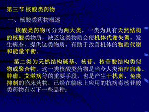 教学课件：第十三章-生化药物制造工艺-核酸类药物.ppt