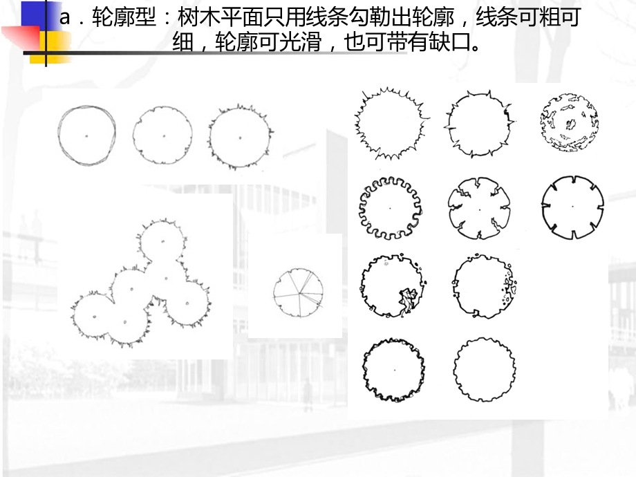 景观设计中植物的表达技法.ppt_第2页