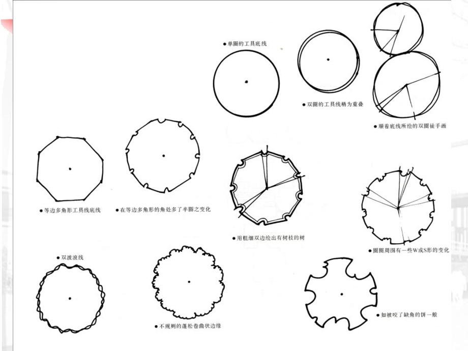 景观设计中植物的表达技法.ppt_第3页