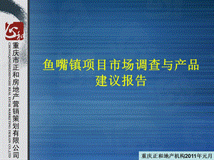 重庆正和房地产鱼嘴镇项目市场调查与产品建议报告51页 .ppt