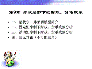 开放经济条件下的财政货币政策.ppt