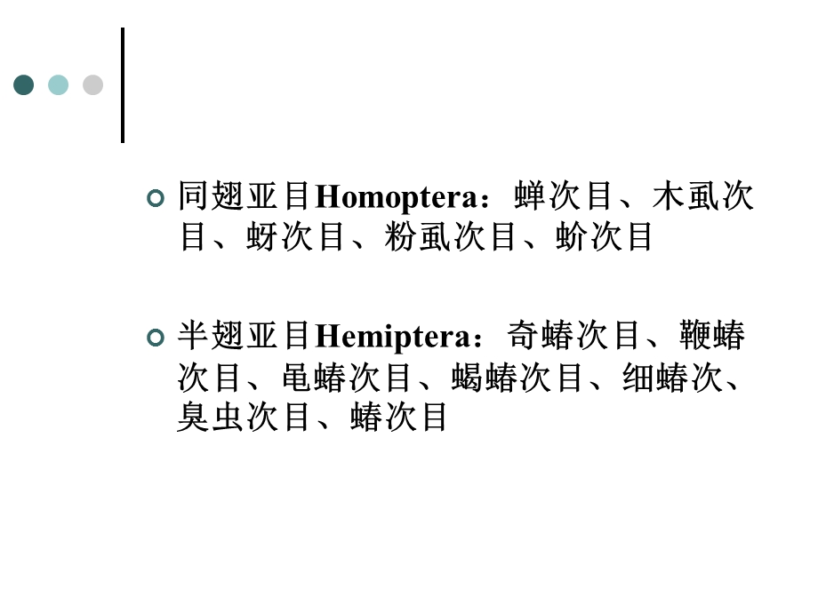 昆虫识别与鉴定同翅目.ppt_第2页