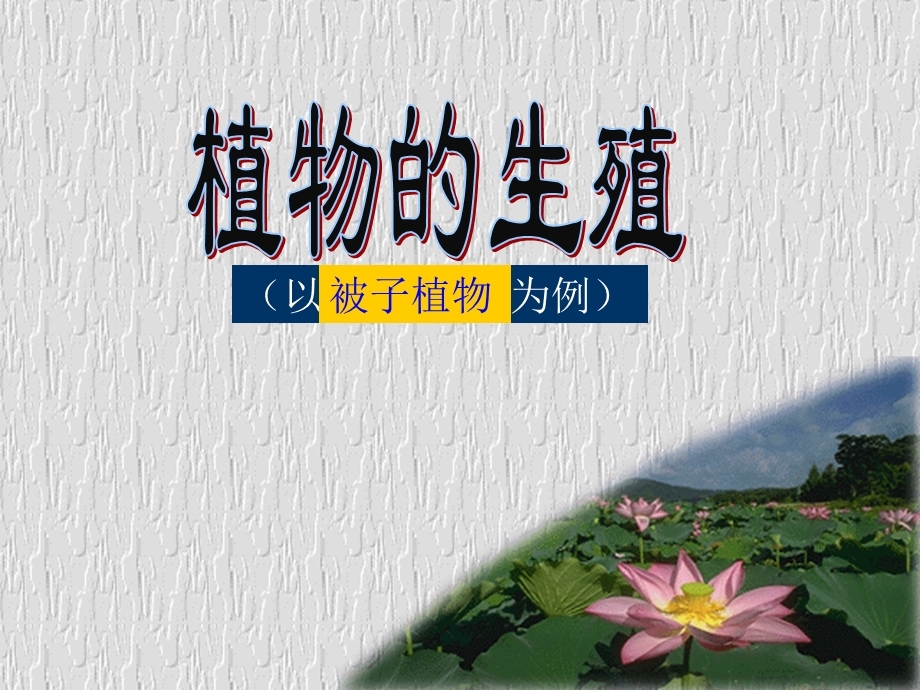 植物的生殖优秀.ppt_第2页