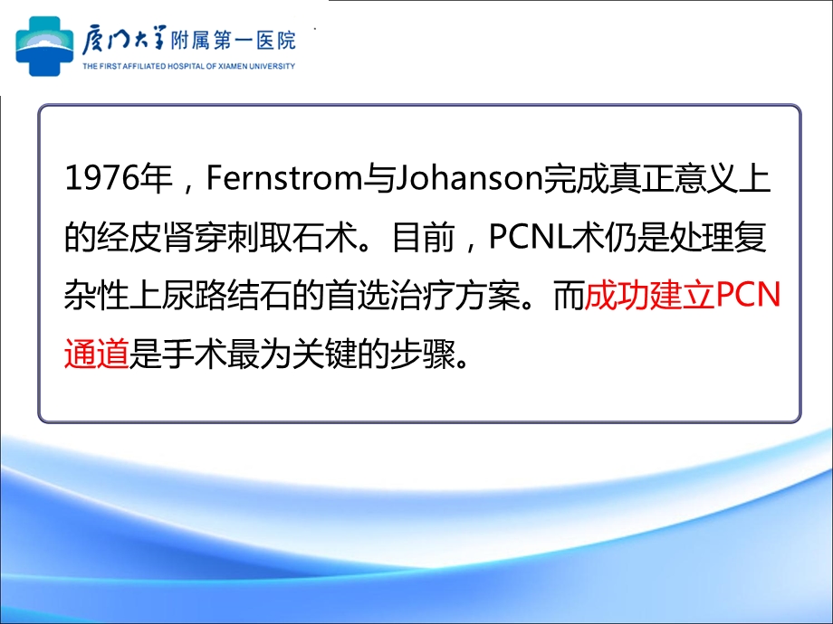 标准pcnl术穿刺技巧探讨.ppt_第2页