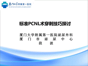 标准pcnl术穿刺技巧探讨.ppt