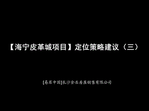 易居中国：【海宁皮革城项目】定位策略建议三 .ppt