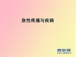 急性疼痛与疾病.ppt