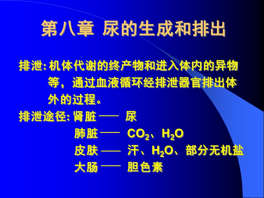 生理学肾的功能解剖和肾血流量.ppt_第1页