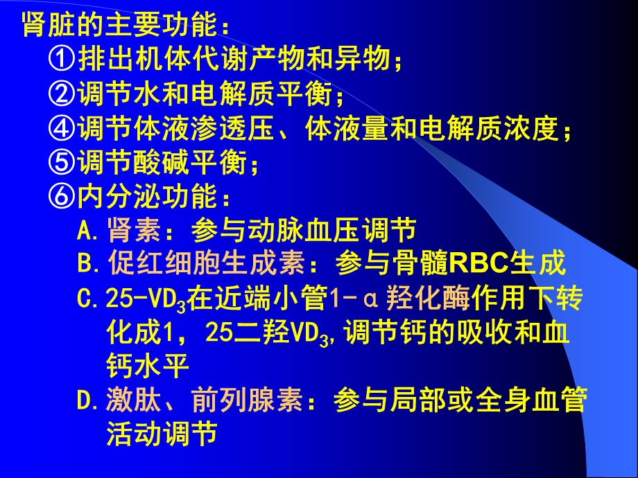 生理学肾的功能解剖和肾血流量.ppt_第2页