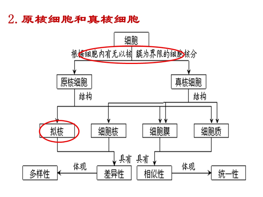 生物必修一-概念图.ppt_第3页