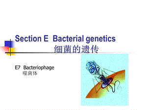 水处理微生物学(双语)第五章7～10节.ppt