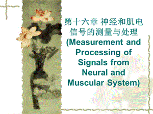 神经和肌电信号的测量与处理Measurementa.ppt