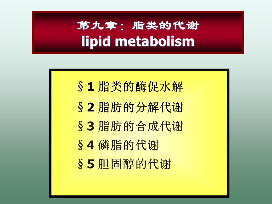 生物化学第九章脂代谢.ppt_第2页