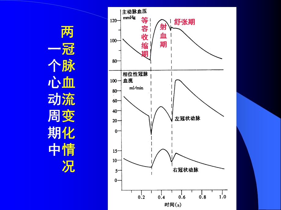 生理第四章课件第五部分-第五节.ppt_第3页