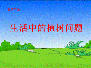 生活中的植树问题.ppt