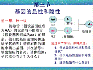 生物723基因的显性和隐形.ppt